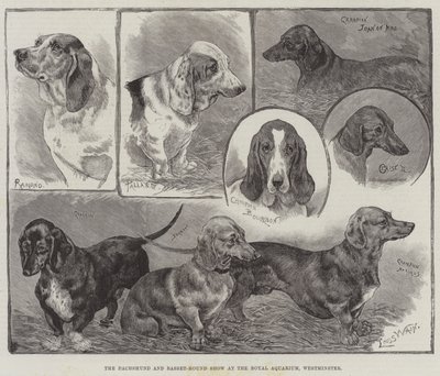 De teckel- en basset-hondenshow in het Royal Aquarium, Westminster door Louis Wain